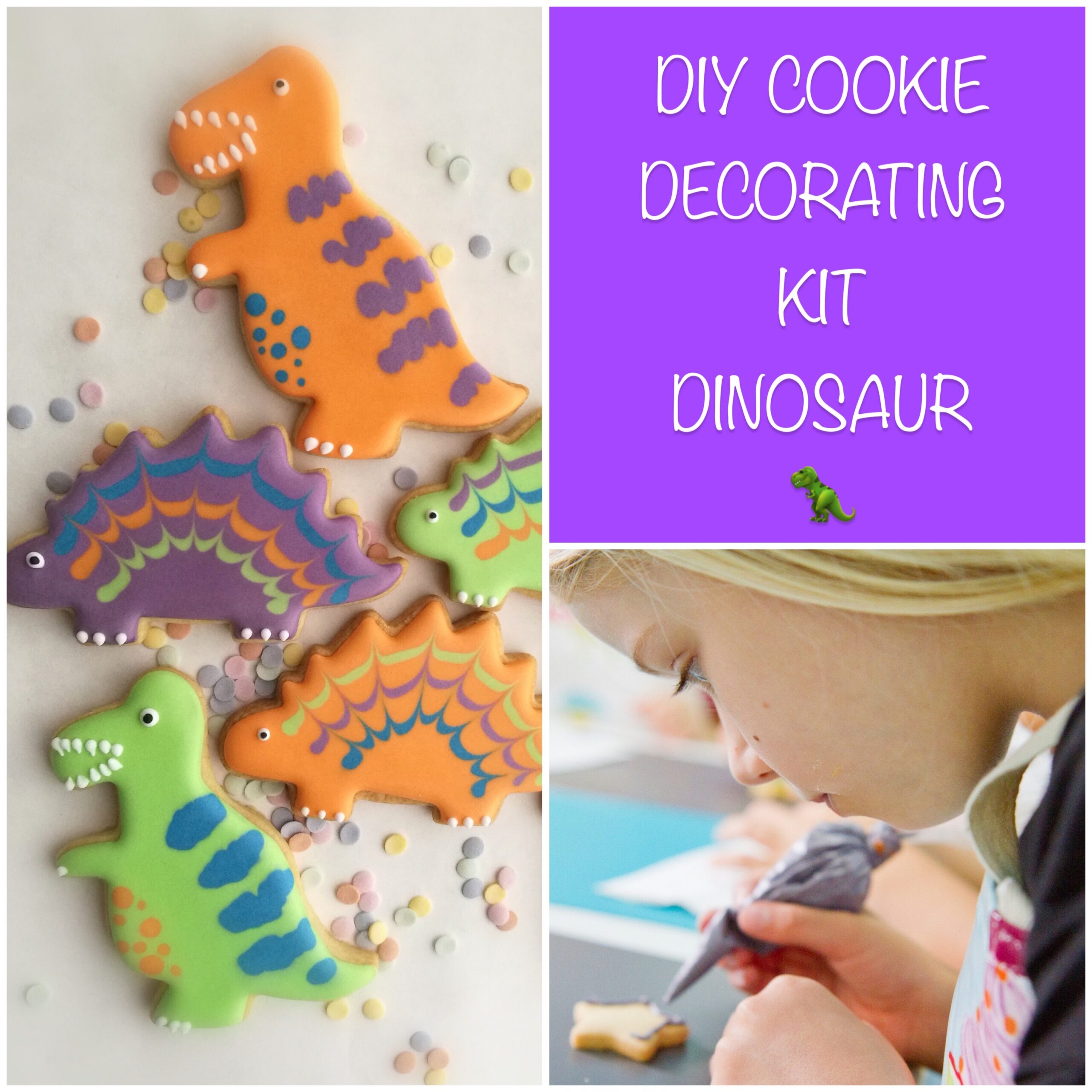 DIY cookie kit dinosaur
