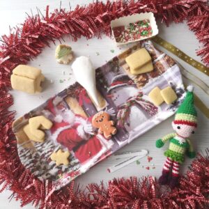 mini biscuit Christmas House DIY kit