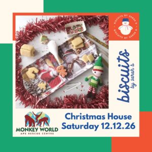 Decorate a mini Christmas Biscuit House Monkey World 12th December