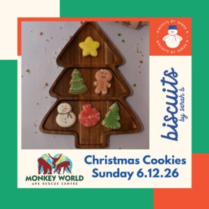 Monkey World Christmas Cookies Biscuit Decorating 6th December