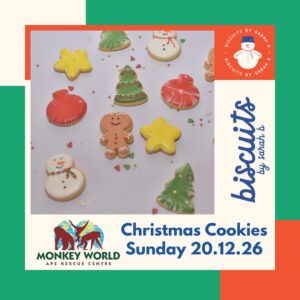 Monkey World Christmas Cookies Biscuit Decorating 20th December
